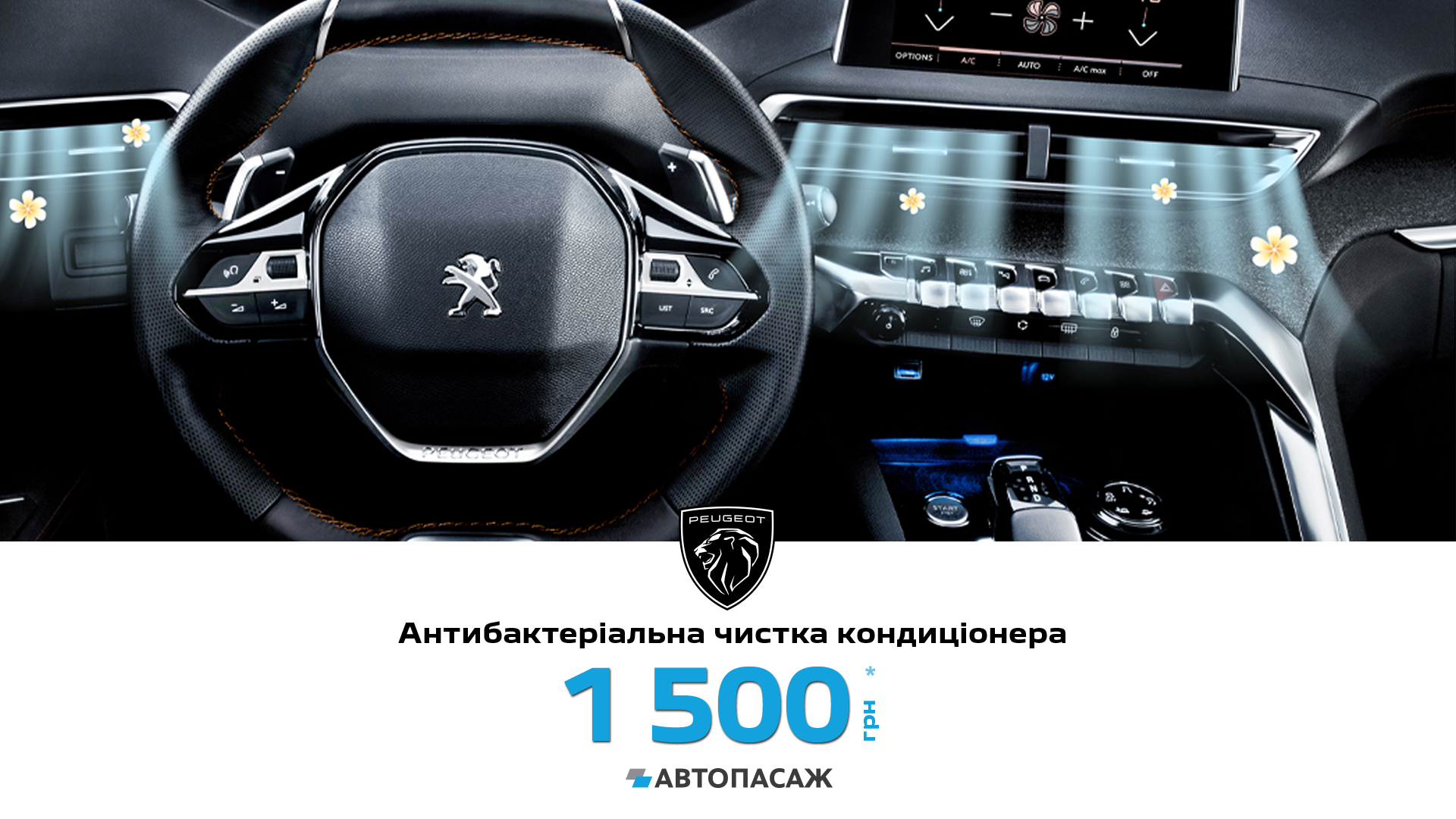 Антибактеріальна чистка кондиціонера